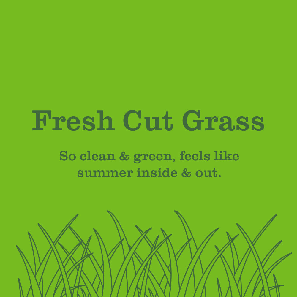 Mrs. Meyer's Fresh Cut Grass Garden-Inspired Room Freshener