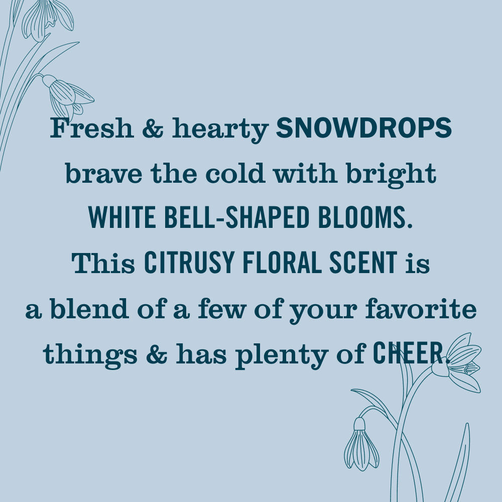 Mrs. Meyer's Snowdrop 3-Count Hand Care Bundle