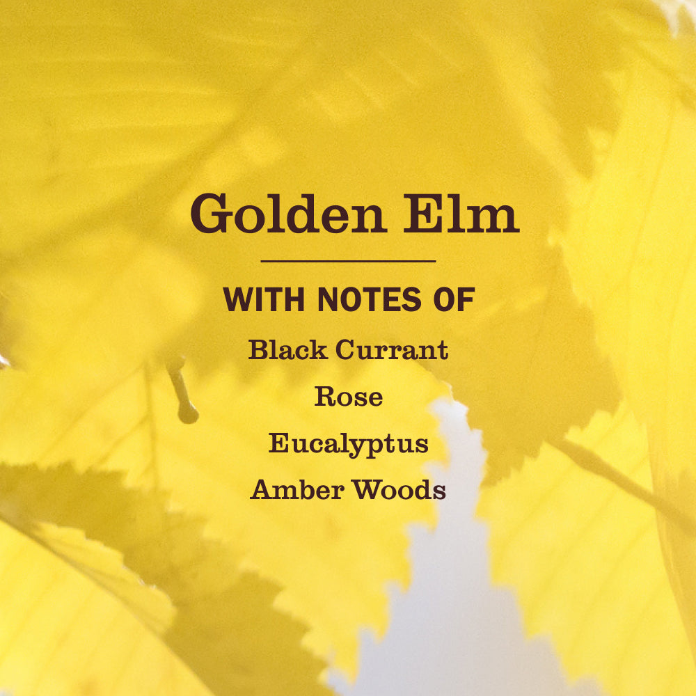 Mrs. Meyer's Golden Elm Garden-Scented Liquid Hand Soap