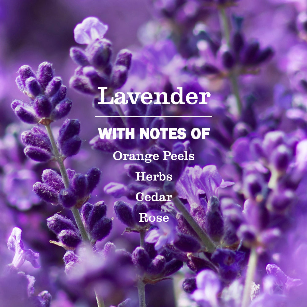 Mrs. Meyer's Lavender 4-Pack Plug-In Scented Oil Refills