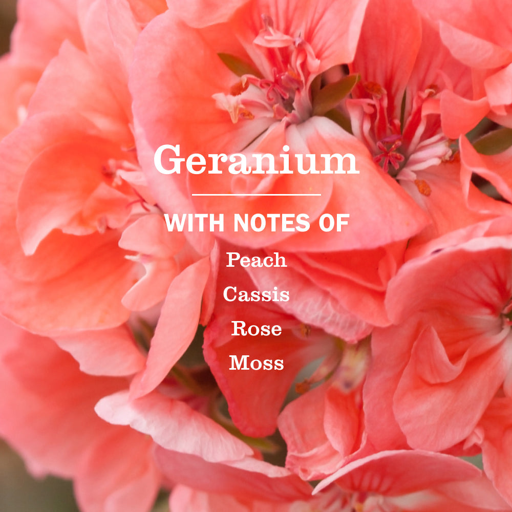 Mrs. Meyer's Geranium Concentrated Multi-Surface Cleaner