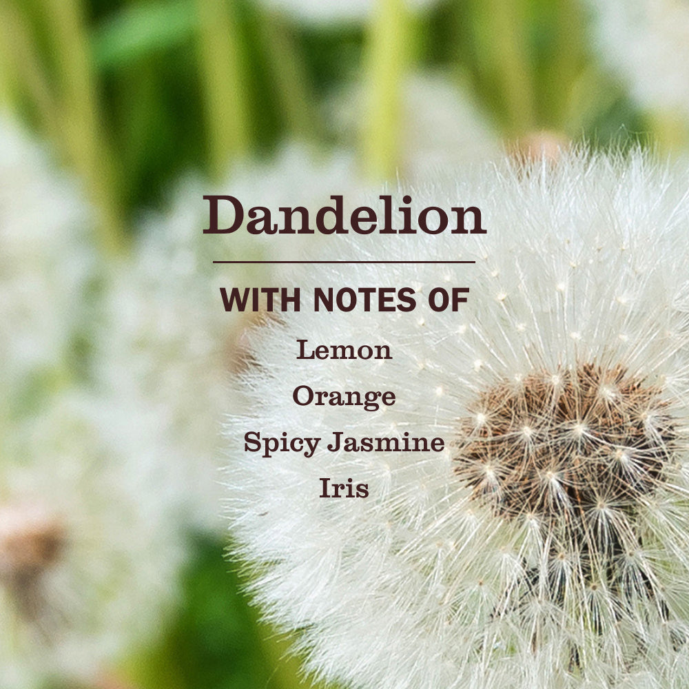Mrs. Meyer's Dandelion Garden-Inspired Room Freshener