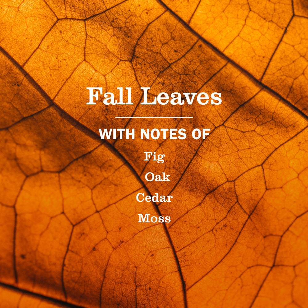 Mrs. Meyer's Fall Leaves 3-Count Liquid Hand Soap Bundle
