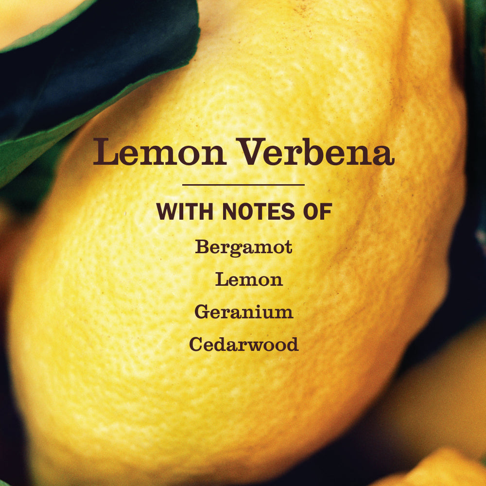 Mrs. Meyer's Lemon Verbena Essential Kitchen Cleaning Set