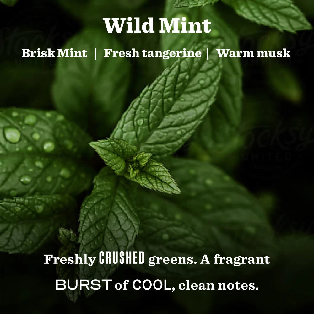 Mrs. Meyer's Wild Mint Heirloom Garden-Scented Candle