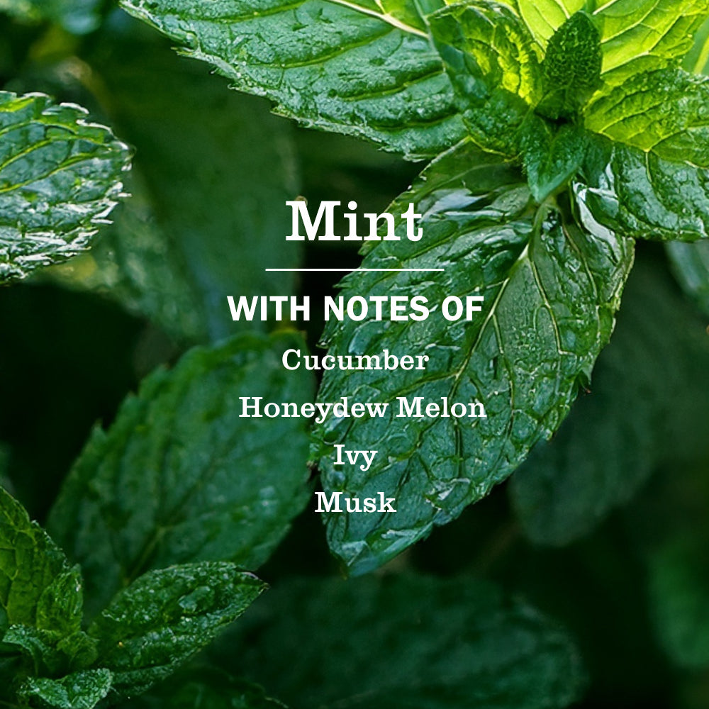 Mrs. Meyer's Mint Garden-Scented Liquid Hand Soap