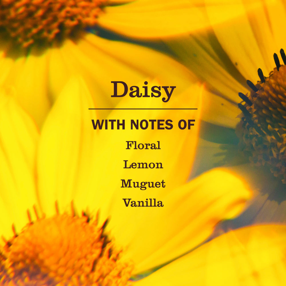 Mrs. Meyer's Daisy 3-Count Liquid Dish Soap Bundle