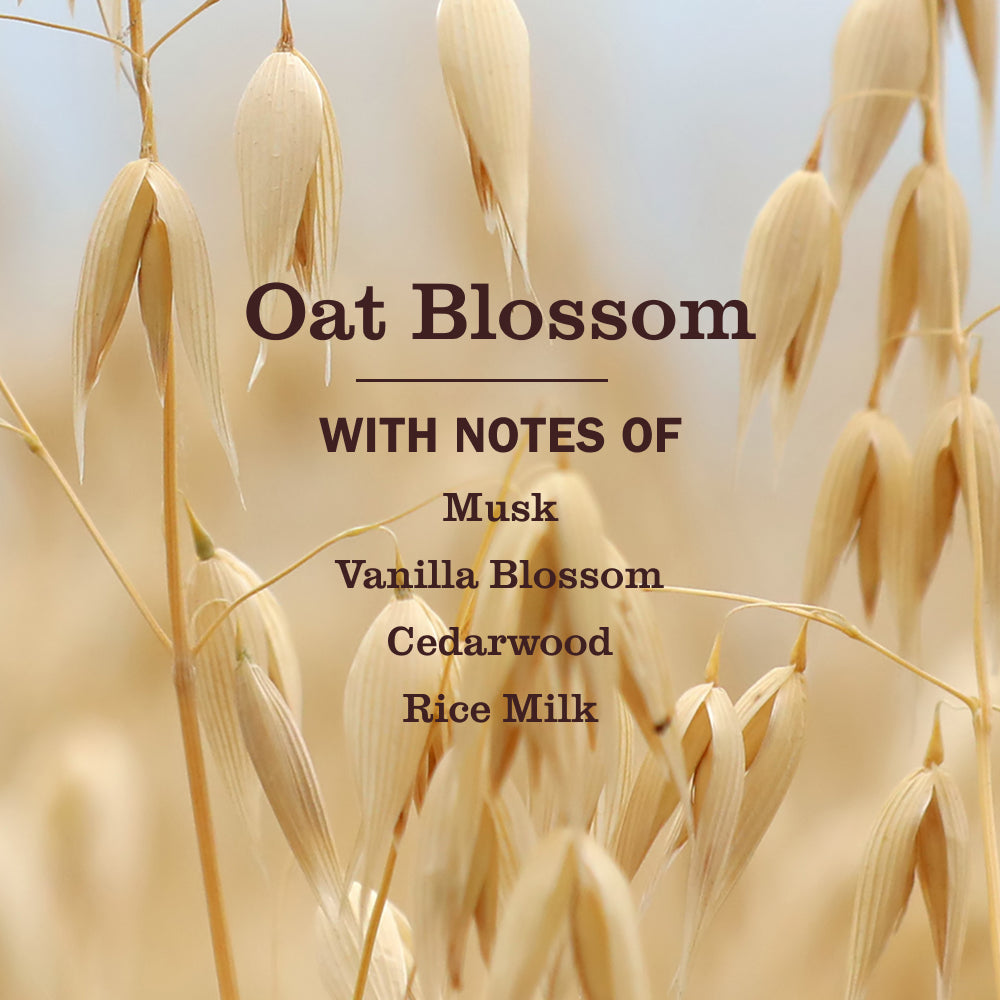 Mrs. Meyer's Oat Blossom Refill for Liquid Hand Soap