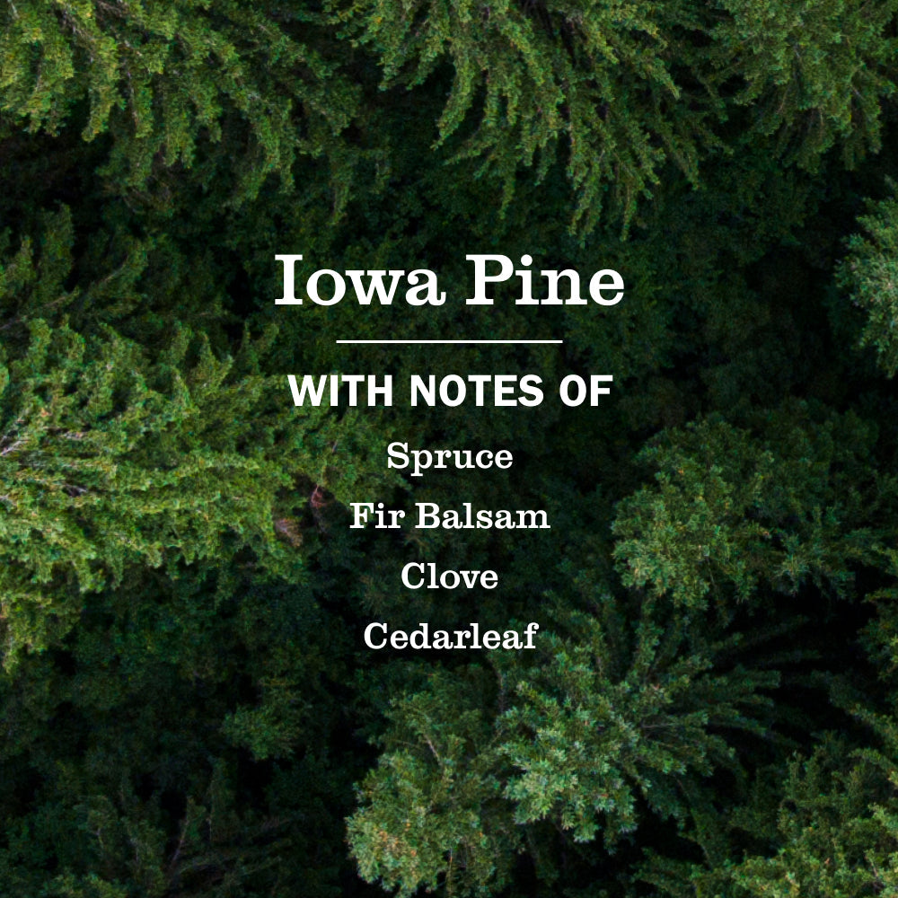 Mrs. Meyer's Iowa Pine Everyday Multi-Surface Cleaning Spray