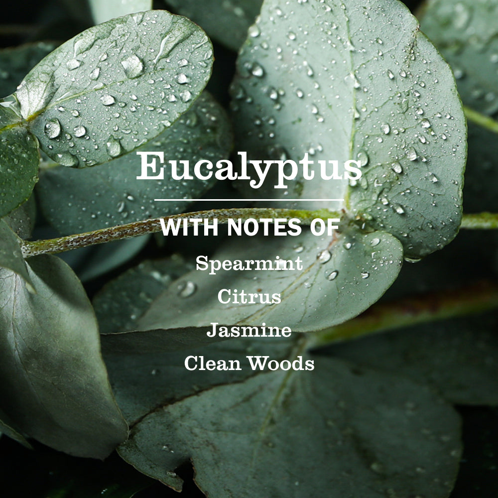 Mrs. Meyer's Eucalyptus Liquid Dish Soap
