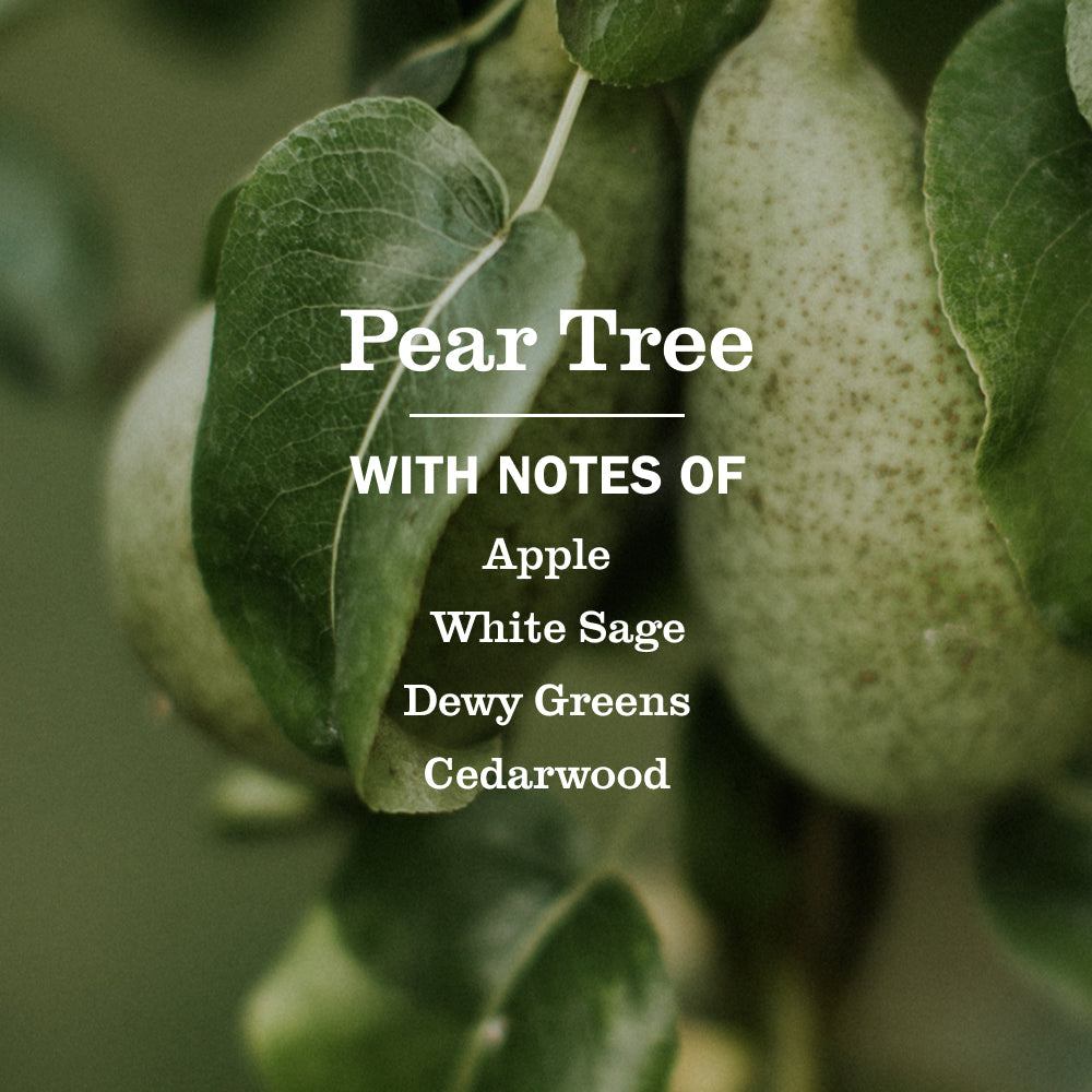 Mrs. Meyer's Pear Tree Garden-Scented Liquid Hand Soap
