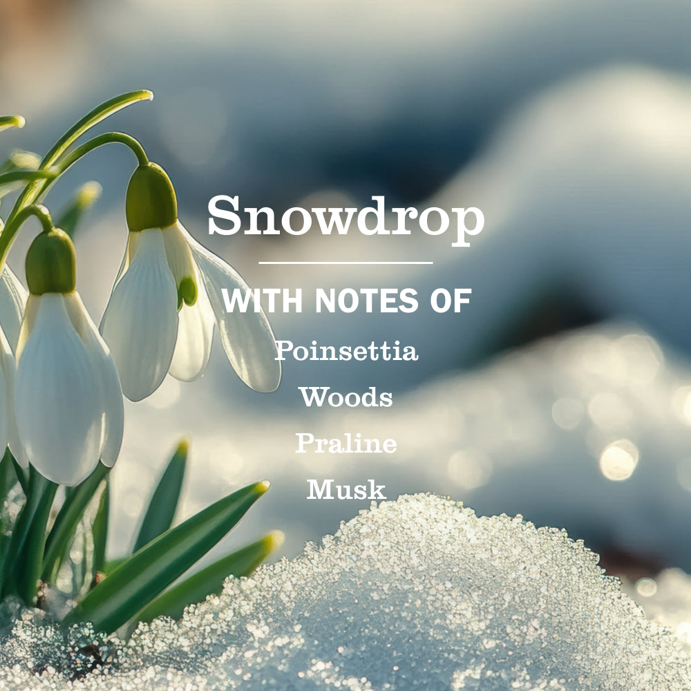 Mrs. Meyer's Snowdrop Garden-Scented Liquid Hand Soap