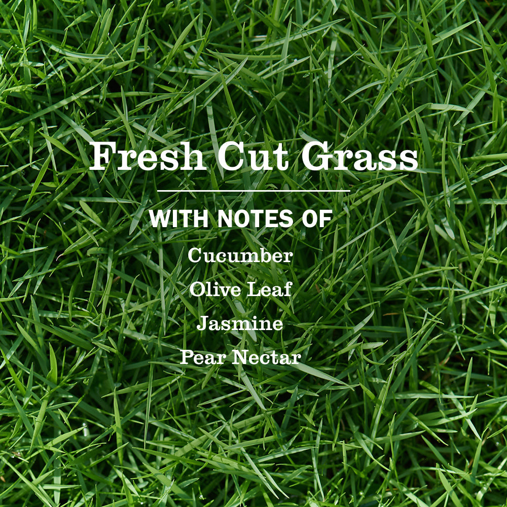 Mrs. Meyer's Fresh Cut Grass Garden-Scented Liquid Hand Soap