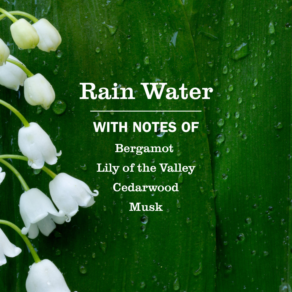 Mrs. Meyer's Rain Water Liquid Dish Soap