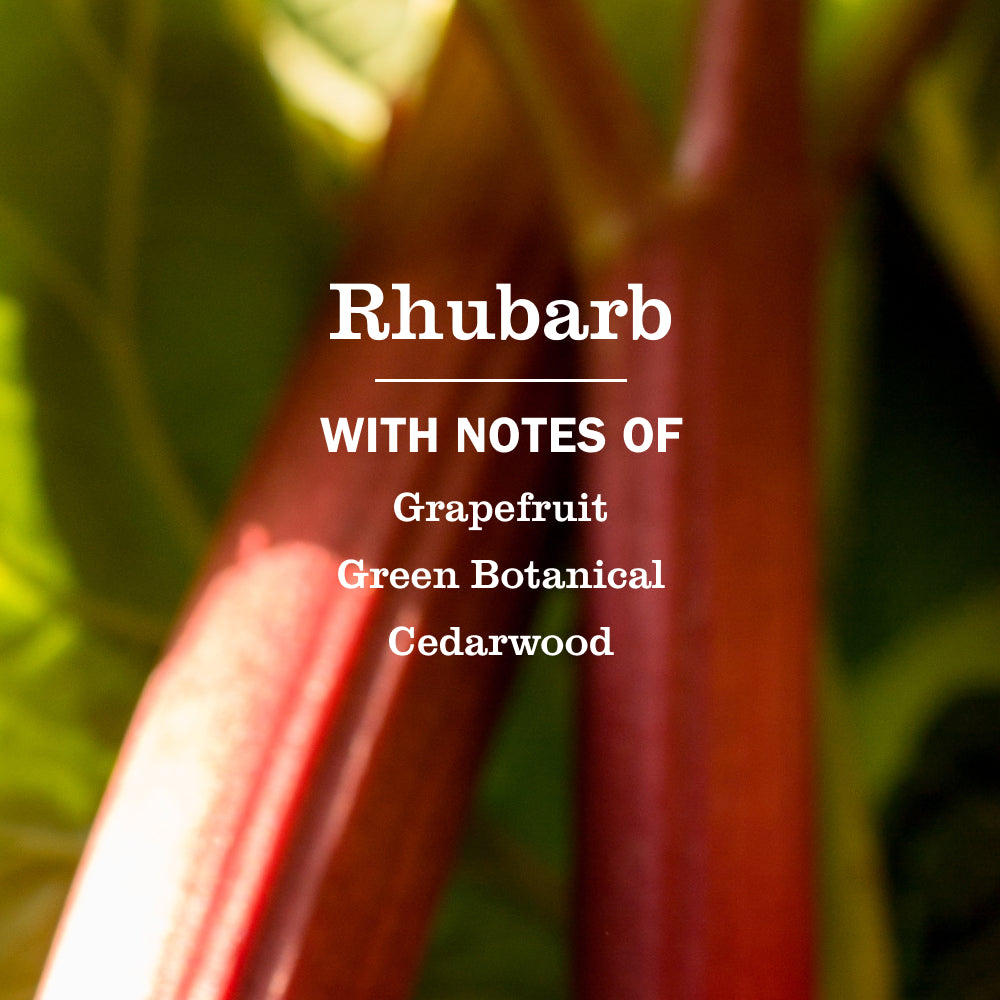 Mrs. Meyer's Rhubarb Garden-Scented Liquid Hand Soap